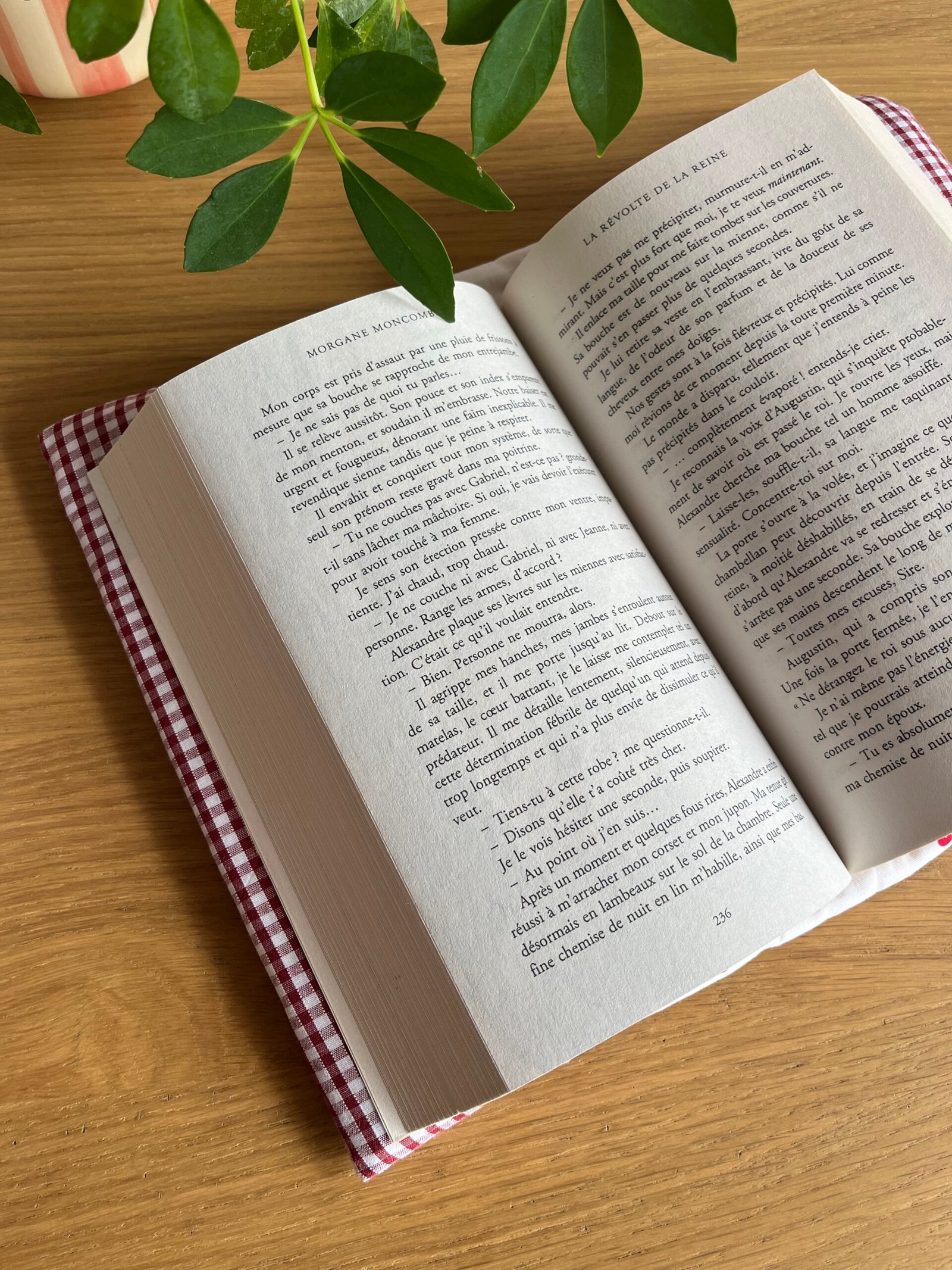 Couvre-livre ajustable et réversible Cherry – Image 2