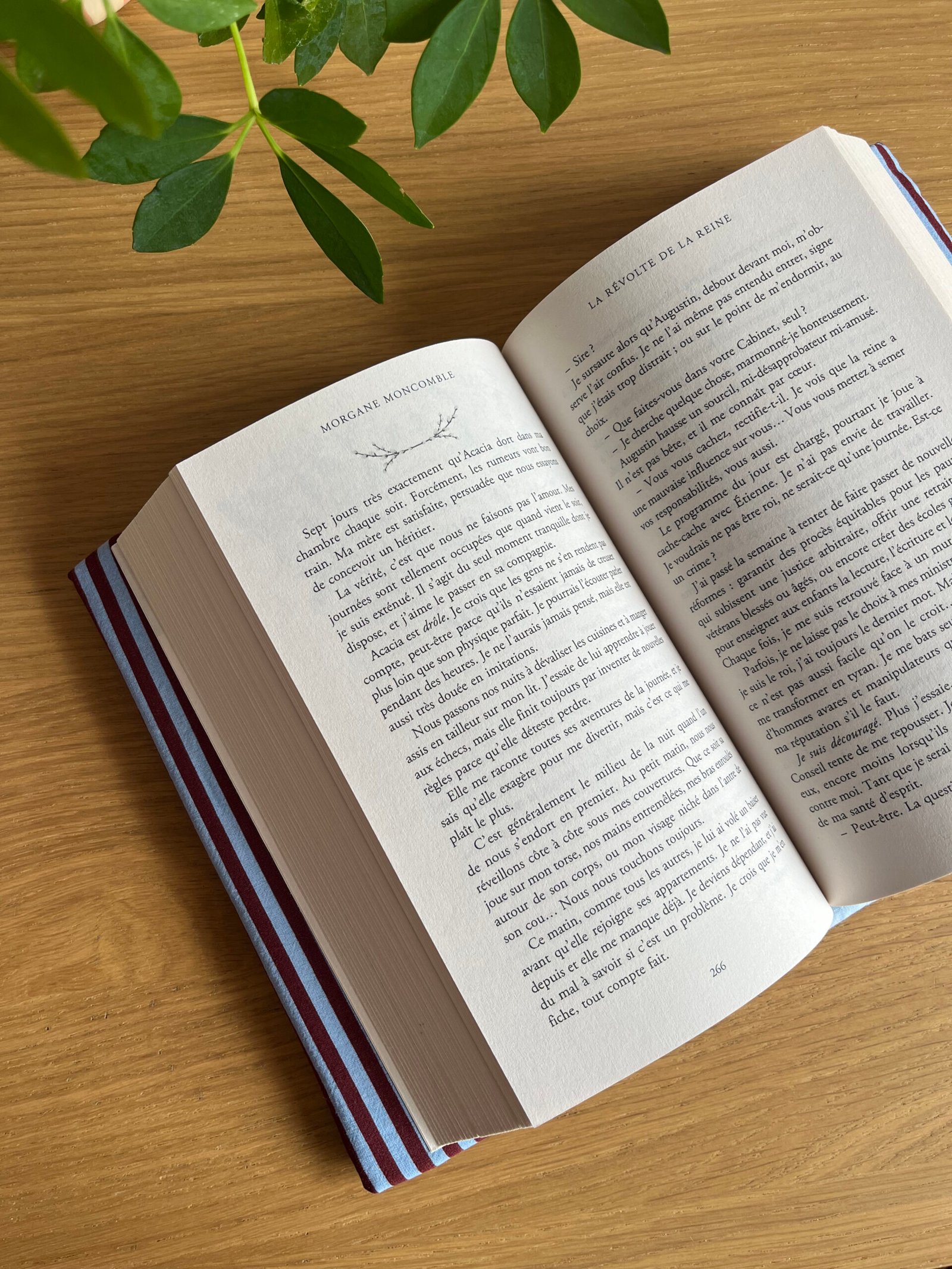 Couvre-livre ajustable et réversible Adèle – Image 3